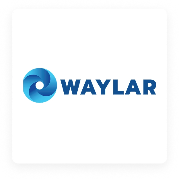 WAYLAY